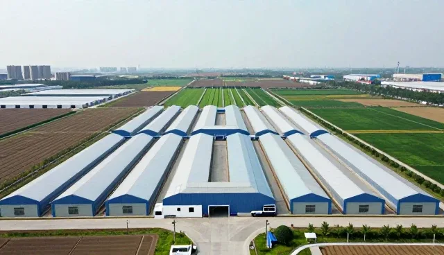 来料加工场景下的包装解决方案实践与应用